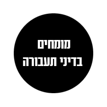מומחים בדיני תעבורה