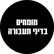 בדיקת דוחות תנועה